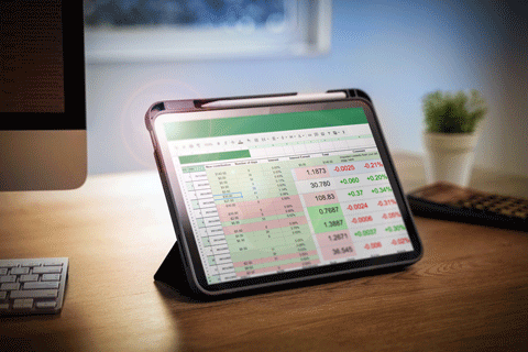  Financial data and graphs in spreadsheet documents Budget Report