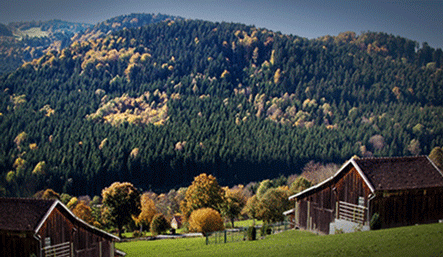 A vast scenic grassland with mountains in the background and a couple of residential cabins in the foreground.