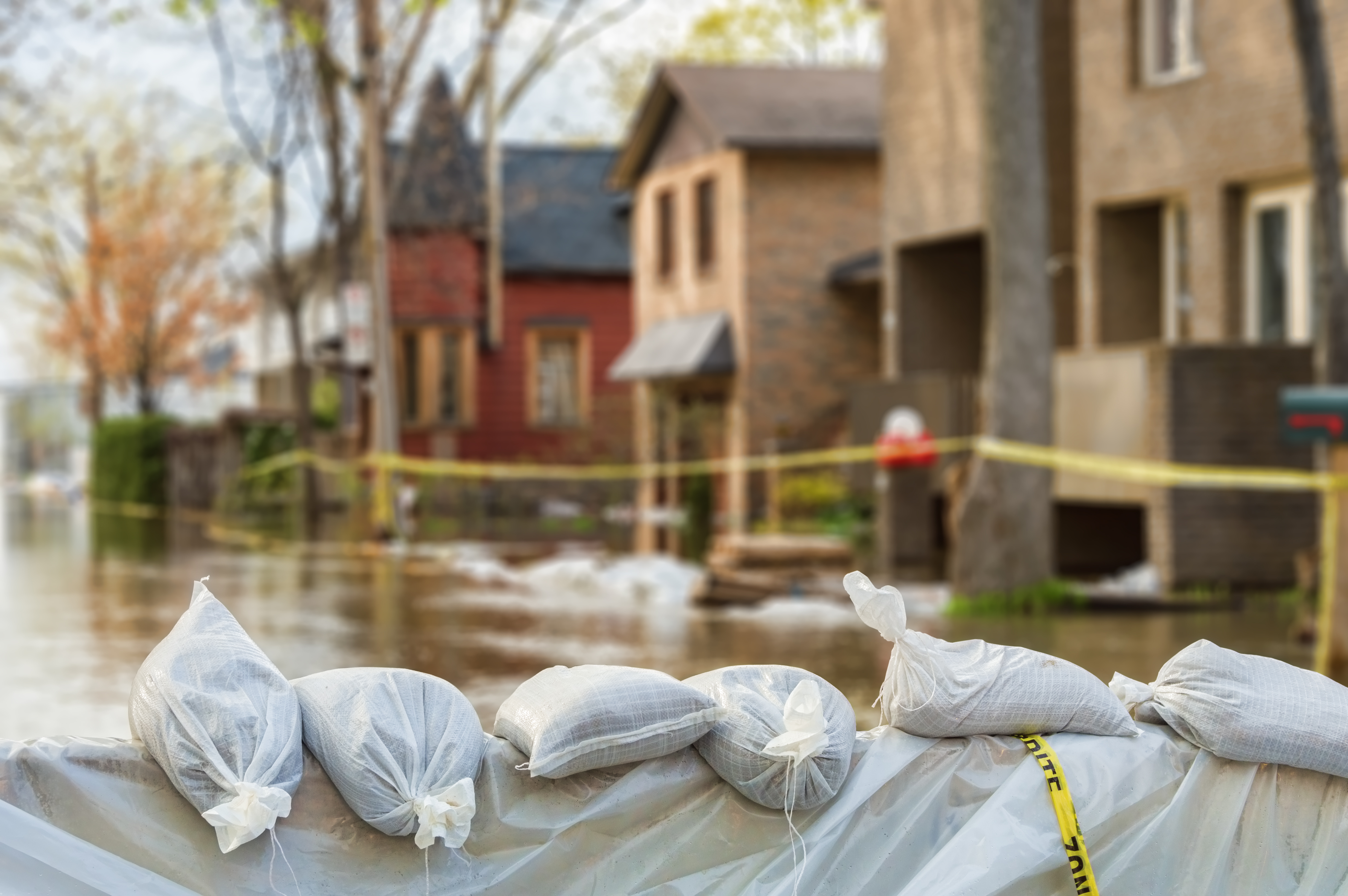 fema 50 percent rule